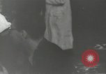 Image of French Liberation Paris France, 1944, second 24 stock footage video 65675063547