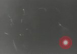 Image of French Liberation Paris France, 1944, second 41 stock footage video 65675063547