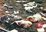 Image of wrecked German equipment Germany, 1945, second 4 stock footage video 65675063550