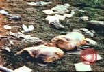 Image of wrecked German equipment Germany, 1945, second 5 stock footage video 65675063550