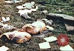Image of wrecked German equipment Germany, 1945, second 6 stock footage video 65675063550
