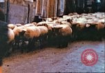 Image of United States soldier Germany, 1945, second 7 stock footage video 65675063552