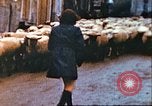 Image of United States soldier Germany, 1945, second 8 stock footage video 65675063552