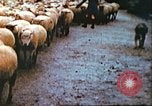 Image of United States soldier Germany, 1945, second 18 stock footage video 65675063552