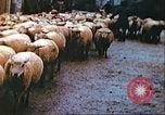 Image of United States soldier Germany, 1945, second 20 stock footage video 65675063552