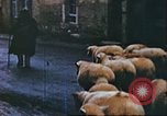 Image of United States soldier Germany, 1945, second 21 stock footage video 65675063552