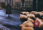 Image of United States soldier Germany, 1945, second 22 stock footage video 65675063552