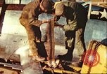 Image of P-47 Thunderbolt Europe, 1945, second 6 stock footage video 65675063555