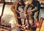 Image of P-47 Thunderbolt Europe, 1945, second 13 stock footage video 65675063555