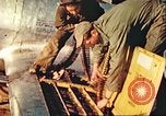 Image of P-47 Thunderbolt Europe, 1945, second 17 stock footage video 65675063555