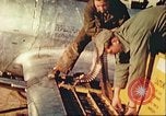 Image of P-47 Thunderbolt Europe, 1945, second 27 stock footage video 65675063555