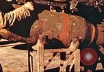 Image of P-47 Thunderbolt Europe, 1945, second 52 stock footage video 65675063555