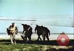 Image of United States airmen Germany, 1945, second 32 stock footage video 65675063558