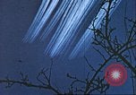 Image of P-47 Thunderbolt contrails over Germany Germany, 1945, second 29 stock footage video 65675063561