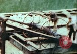 Image of German barge Germany, 1945, second 22 stock footage video 65675063563