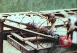 Image of German barge Germany, 1945, second 23 stock footage video 65675063563