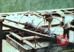 Image of German barge Germany, 1945, second 24 stock footage video 65675063563