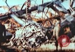 Immagine di Stati Uniti soldato Germania, 1945, secondo 8 filmato di repertorio 65675063565