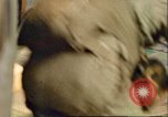 Image of C-47 Skytrain Germany, 1945, second 4 stock footage video 65675063569