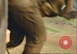 Image of C-47 Skytrain Germany, 1945, second 8 stock footage video 65675063569