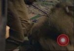 Image of C-47 Skytrain Germany, 1945, second 53 stock footage video 65675063569