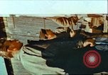 Image of United States soldiers Germany, 1945, second 8 stock footage video 65675063584