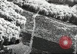 Immagine di 8° Fighter il Comando delle Forze aeree Europa, 1944, secondo 37 filmato di repertorio 65675063587