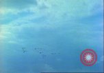 Immagine di P-47 Thunderbolt Germania, 1945, secondo 15 filmato di repertorio 65675063592