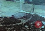 Image of Allied Air superiority  Germany, 1945, second 21 stock footage video 65675063607