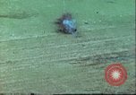 Image of Last days of air war in Europe Germany, 1945, second 25 stock footage video 65675063608