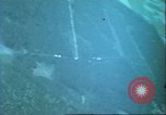 Image of Near end of World War 2 in Europe Germany, 1945, second 21 stock footage video 65675063609