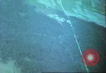Image of Near end of World War 2 in Europe Germany, 1945, second 24 stock footage video 65675063609