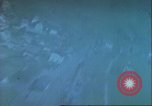 Image of US aircraft strafing Germany, 1945, second 12 stock footage video 65675063611