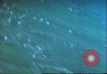 Image of US aircraft strafing Germany, 1945, second 33 stock footage video 65675063611