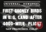 Image Oiseaux Albatros San Francisco California USA, 1937, de la seconde 4 séquences d'archives historiques vidéo 65675063622