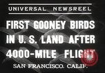 Image Oiseaux Albatros San Francisco California USA, 1937, de la seconde 5 séquences d'archives historiques vidéo 65675063622
