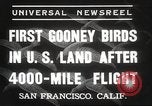 Image Oiseaux Albatros San Francisco California USA, 1937, de la seconde 6 séquences d'archives historiques vidéo 65675063622