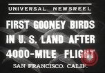 Image Oiseaux Albatros San Francisco California USA, 1937, de la seconde 7 séquences d'archives historiques vidéo 65675063622