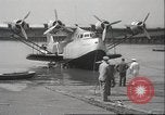 Image Oiseaux Albatros San Francisco California USA, 1937, de la seconde 8 séquences d'archives historiques vidéo 65675063622