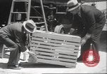 Image Oiseaux Albatros San Francisco California USA, 1937, de la seconde 13 séquences d'archives historiques vidéo 65675063622