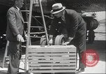 Image Oiseaux Albatros San Francisco California USA, 1937, de la seconde 15 séquences d'archives historiques vidéo 65675063622