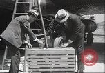Image Oiseaux Albatros San Francisco California USA, 1937, de la seconde 16 séquences d'archives historiques vidéo 65675063622