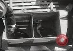 Image Oiseaux Albatros San Francisco California USA, 1937, de la seconde 18 séquences d'archives historiques vidéo 65675063622