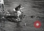 Image of angling course Eugene Oregon USA, 1937, second 29 stock footage video 65675063624