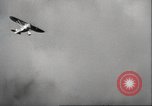 Image air show Miami Florida USA, 1939, de la seconde 38 séquences d'archives historiques vidéo 65675063631