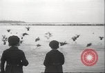 Image of wild ducks Toronto Ontario Canada, 1939, second 37 stock footage video 65675063633