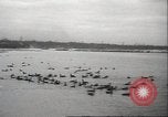 Image of wild ducks Toronto Ontario Canada, 1939, second 49 stock footage video 65675063633