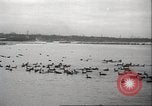 Image of wild ducks Toronto Ontario Canada, 1939, second 52 stock footage video 65675063633