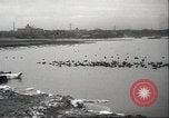 Image of wild ducks Toronto Ontario Canada, 1939, second 53 stock footage video 65675063633