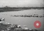 Image of wild ducks Toronto Ontario Canada, 1939, second 55 stock footage video 65675063633